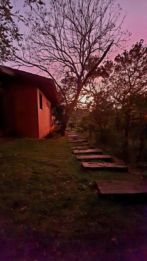 Sitio Belucci Bed & Breakfast Pinhalzinho  Dış mekan fotoğraf