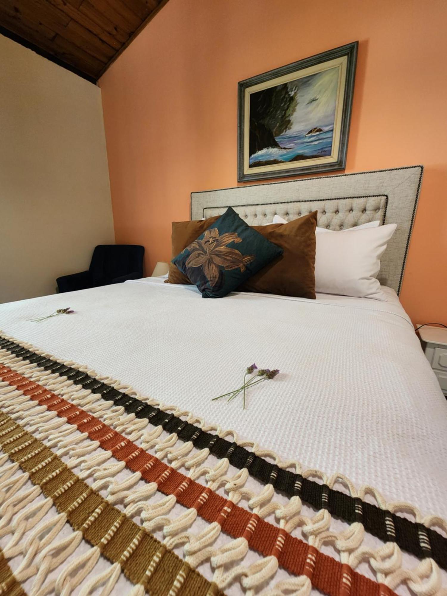 Sitio Belucci Bed & Breakfast Pinhalzinho  Dış mekan fotoğraf